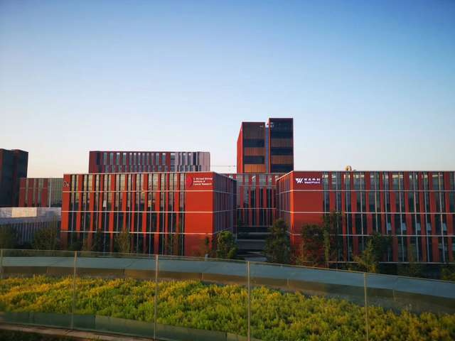 湖北80DF凸轮分割器报价