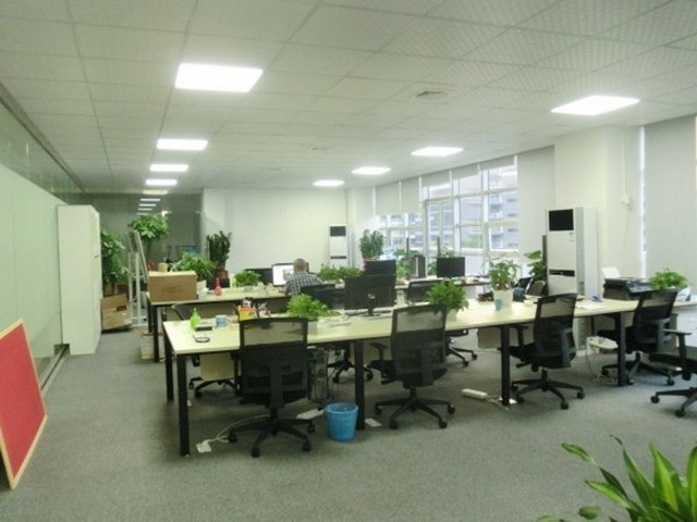 河南轻奢整木公司