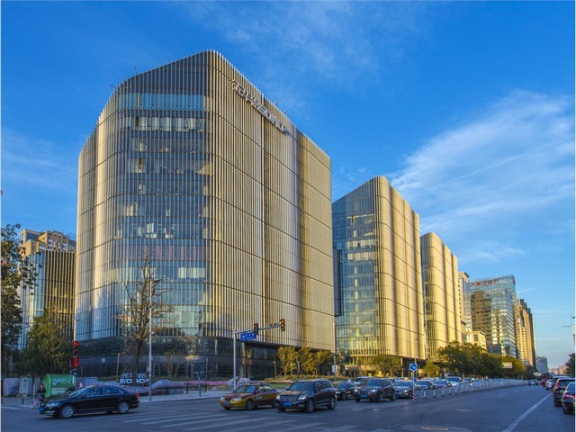 静安罗汉松修剪联系方式